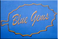 Blue Gems Minerals & Jewellery